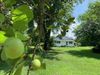 534 N Bellview Rd photo